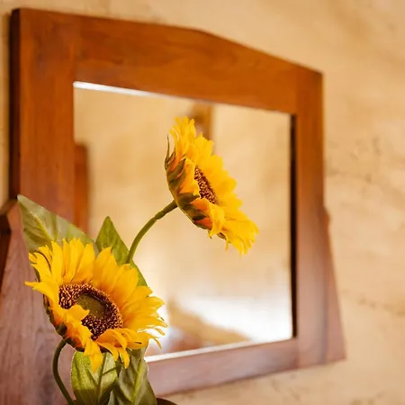 Nonna Rosa Morano Calabro